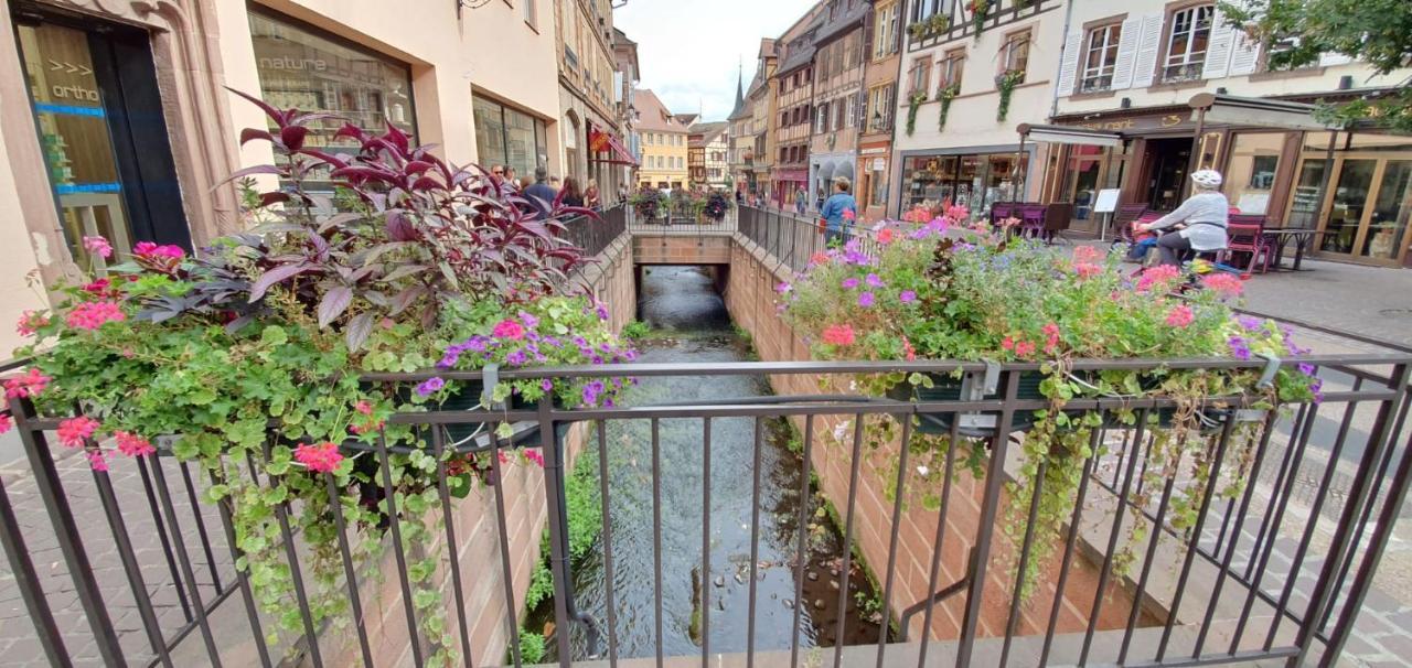 Le Blue St Leon : 2 Pieces Cozy Lit King Size Wifi Daire Colmar Dış mekan fotoğraf