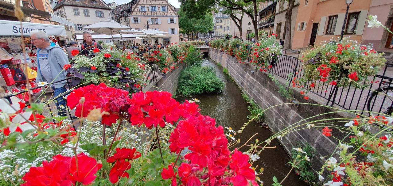 Le Blue St Leon : 2 Pieces Cozy Lit King Size Wifi Daire Colmar Dış mekan fotoğraf