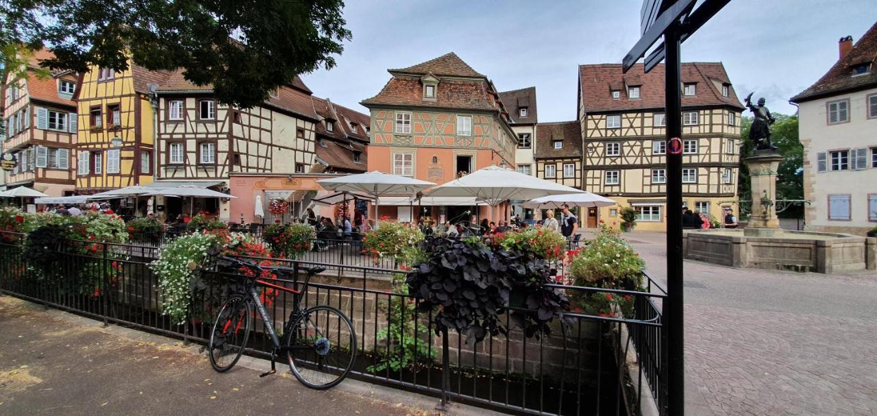Le Blue St Leon : 2 Pieces Cozy Lit King Size Wifi Daire Colmar Dış mekan fotoğraf